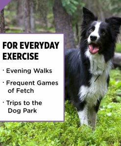 Purina Pro Plan Sport Active 26/16 Formula Dry Dog Food with Chicken, 37.5 lb. Bag 24 Purina Pro Plan Sport Active 26/16 Formula Dry Dog Food with Chicken, 37.5 lb. Bag -Pets & Wildlife Sales Store 00037f3058c31f51f5b02a236253e60942c193e3 00038100136763 06