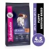 Eukanuba Puppy Medium Breed Chicken Formula Dry Dog Food, 4.5 lb. Bag -Pets & Wildlife Sales Store 00982da5be9ac2b0fe6fab1467bff3e3a728a435 55682003