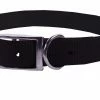 Scott Pets 5/8" Nylon Puppy Collar - 141 - Dog Collars & Leashes -Pets & Wildlife Sales Store 015035b8d281f73b607e31917a3f29decaf1d452 141 scott pets dog collar 6 8 10 14 12 3