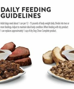 Purina Dog Chow High Protein Variety Pack Chicken and Beef in Savory Gravy Adult Wet Dog Food, (12) 13 oz. Cans -Pets & Wildlife Sales Store 017c2d7f5fd4ad1e01a404b4dd210454440e40fa 35201340 3