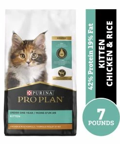 Purina Pro Plan Kitten Chicken & Rice Formula Dry Cat Food, 7 lb. Bag