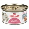 Royal Canin Mother & Babycat Ultra-Soft Mousse in Sauce Wet Cat Food, 3oz. Can -Pets & Wildlife Sales Store 01a56b42d2a78bbe31548c57830bfe5d3ace5712 55682071
