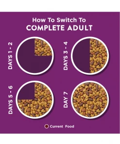 NESTLE PURINA PETCARE CO Purina Dog Chow Complete Adult Real Lamb Dry Dog Food, 46 lb. Bag -Pets & Wildlife Sales Store 02ea14394a58b8e4800b8da46ab10fbe3cb22570 2022019312 6