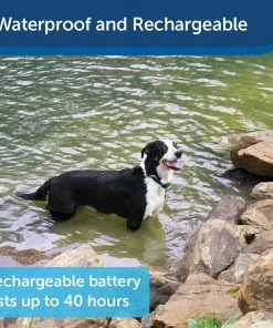 PetSafe Pet Safe 300 Yard Remote Trainer Lite - PDT00-16024 - Dog Collars & Leashes -Pets & Wildlife Sales Store 04563b44e6c57b96d6f179a7282da334063a4d2a 70071081 5