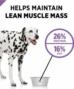 Purina Pro Plan Sport Active 26/16 Formula Dry Dog Food with Chicken, 37.5 lb. Bag 23 Purina Pro Plan Sport Active 26/16 Formula Dry Dog Food with Chicken, 37.5 lb. Bag -Pets & Wildlife Sales Store 046e59f4a6f2f24c7c7098393024385e7653990c 00038100136763 05