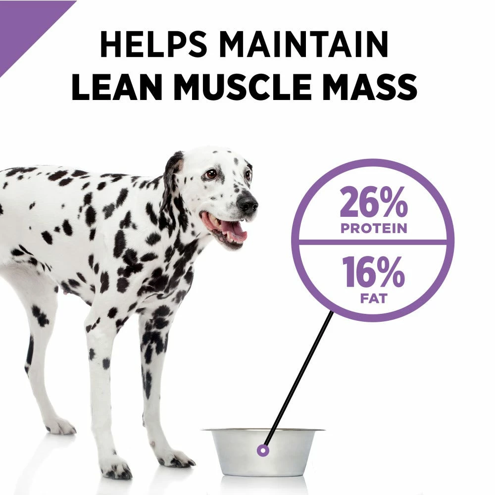 Purina Pro Plan Sport Active 26/16 Formula Dry Dog Food with Chicken, 37.5 lb. Bag 11 Purina Pro Plan Sport Active 26/16 Formula Dry Dog Food with Chicken, 37.5 lb. Bag - Image 9