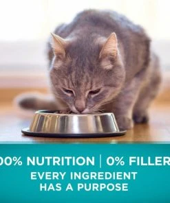 Purina ONE True Instinct Grain Free with Real Ocean Whitefish Adult Dry Cat Food, 14.4 lb. Bag -Pets & Wildlife Sales Store 04f0574c5fb2e39809ef470ab7298fb0aea84745 35202044 5