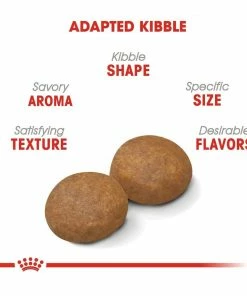 Royal Canin® Size Health Nutrition™ Large Adult 5+ Dry Dog Food, 30 lb. Bag -Pets & Wildlife Sales Store 05d4decfe6a23aa246056f639561b51d50b48261 2022023167 1