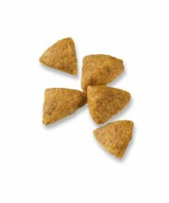 Purina Pro Plan Small Breed Chicken & Rice Formula Adult Dry Dog Food, 6 lb. Bag -Pets & Wildlife Sales Store 0785134eb9daa3c60921e7879aa7ba832c886dee 42041292 8