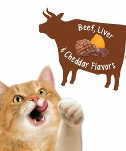 Purina Friskies Party Mix Wild West Crunch Adult Cat Treats, 2.1 oz. Pouch - Cat Litter -Pets & Wildlife Sales Store 084e783f370b93664bd64b3079d47c7e685bcb86 35201133 5