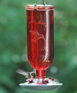 Woodstream Perky-Pet Antique Bottle Hummingbird Feeder 8109-2 -Pets & Wildlife Sales Store 085c2a6c8db22ff3f675610adf8c5093c4487983 2 20
