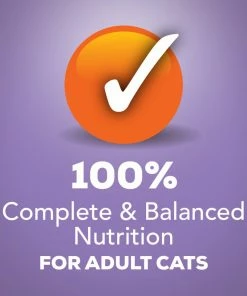 Purina Friskies Shreds Turkey & Cheese Dinner in Gravy Adult Wet Cat Food, 5.5 oz. Can -Pets & Wildlife Sales Store 0922ce76d7e4c85db79757209a51b424e3a3080c 00050000412204 05