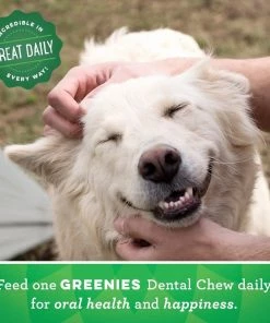 Greenies Original Teenie Dog Dental Chews, 96 Count Pouch - Dog Treats -Pets & Wildlife Sales Store 09a296f4df334c48fce5a36e36d415123714cefd 71900249 4