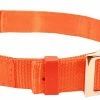 Scott Pets 1" Reflexite Dog Collar, Orange - 1654 - Cats -Pets & Wildlife Sales Store 0a9248c877736c16a40b32ea559fbbee07cf0d17 1654 scott pets orange reflexite dog collar 1