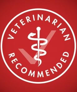 Purina ONE SmartBlend Natural Lamb & Rice Formula Adult Dry Dog Food, 40 lb. Bag -Pets & Wildlife Sales Store 0ac5d77dec991259d2314474724dc7ba80dc9505 00017800167468 07