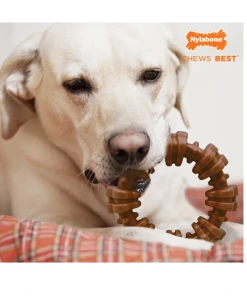 Nylabone DuraChew Textured Dog Chew Ring, Flavored Medley, X-Large/Souper, 1 Count - NCF315P - Dogs -Pets & Wildlife Sales Store 0c728520b535bbd77a2a0e7331bfef169096cf03 67610169 7