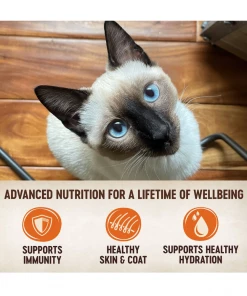 Wellness CORE Tiny Tasters Wet Cat Food, Chicken & Beef, 1.75 oz. Pouch - Dog Treats -Pets & Wildlife Sales Store 0caf7591c27ad371d20a12736ce9500abc0bfcc6 2022022674 2