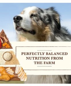 Whole Earth Farms Healthy Grains Chicken and Rice Recipe Dry Dog Food, 37 lb. Bag 11 Whole Earth Farms Healthy Grains Chicken and Rice Recipe Dry Dog Food, 37 lb. Bag -Pets & Wildlife Sales Store 0dd68e1b0aabc3258e4fd1158f623999216c8bdd 13735879 2