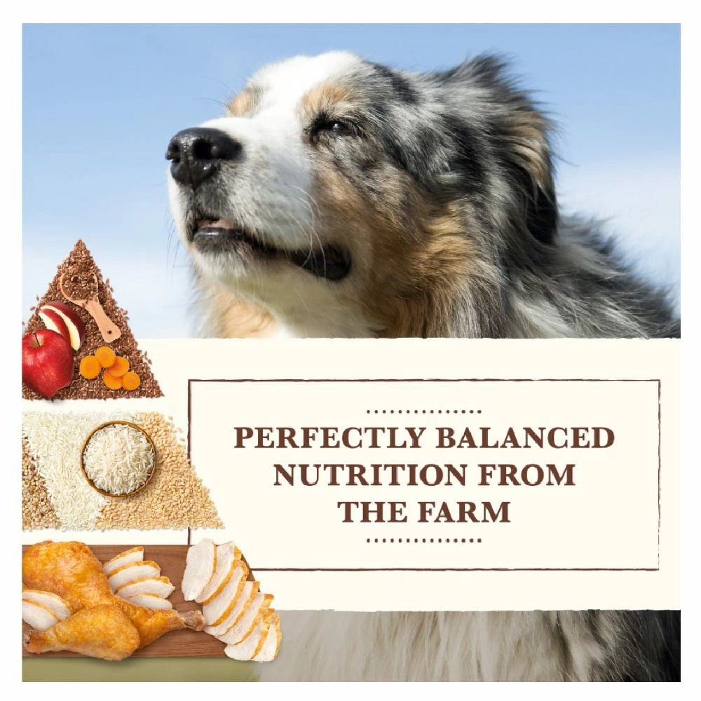 Whole Earth Farms Healthy Grains Chicken and Rice Recipe Dry Dog Food, 37 lb. Bag 6 Whole Earth Farms Healthy Grains Chicken and Rice Recipe Dry Dog Food, 37 lb. Bag - Image 4