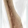 Various Brands Scott Pet Products Big Sky Deer Antler Dog Chew, Large Split - AT188 - Dogs -Pets & Wildlife Sales Store 0e088756ec6030fc8f30ac89f8d1f09da86a560e 051400514 1