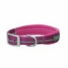 Terrain D.O.G. Reflective Neoprene Lined Dog Collar, 3/4" x 17", Purple - 07-0860-R11-17 - Dog Collars & Leashes -Pets & Wildlife Sales Store 0e270d7f2913ef20d3dd11809f51a0987d0e74e5 67531419