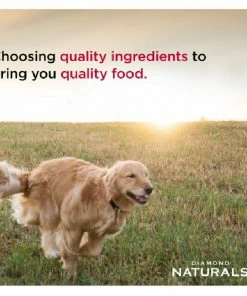 Diamond Naturals Large Breed Adult Chicken & Rice Formula, 40 lb. Bag - Dry Dog Food -Pets & Wildlife Sales Store 12bbf349491f4b56baeb871d94ed2a5303efbccc 60610045 3