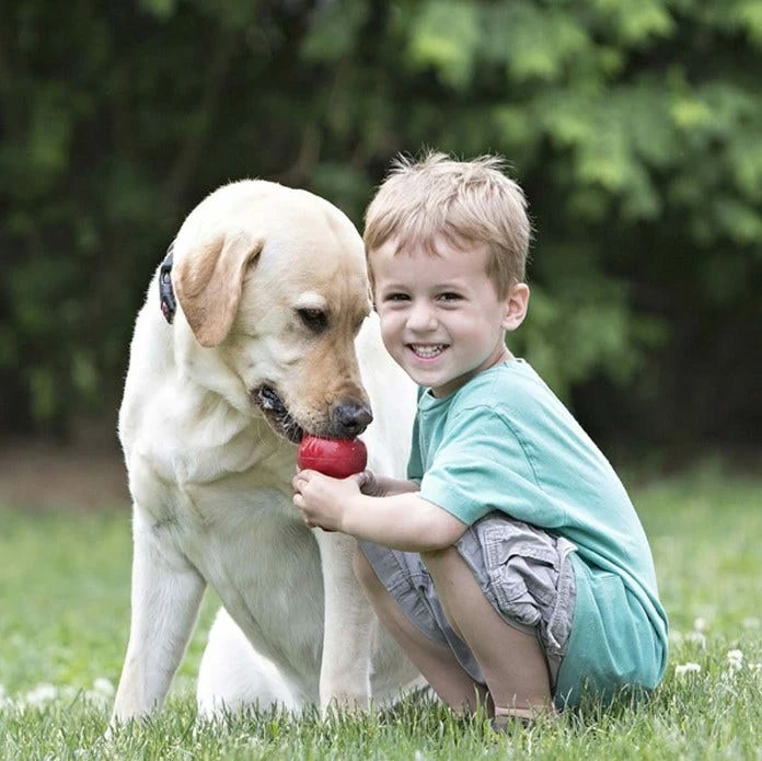 Kong®Classic Md - Dog Toys 7 Kong®Classic Md - Dog Toys - Image 5