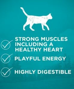 Purina ONE True Instinct Grain Free with Real Ocean Whitefish Adult Dry Cat Food, 14.4 lb. Bag -Pets & Wildlife Sales Store 1603deb1979047d4605fdafd273fc713dcfc2cff 35202044 4