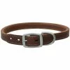 Terrain D.O.G. Oiled Harness Leather Hybrid Dog Collar - 1 Inch x 23 Inch - 06-1952-23 - Dog Collars & Leashes -Pets & Wildlife Sales Store 169854df4fb73f6f86bd8f8f089e4000aaf1f70c 67531049 67531049 image 06 1952