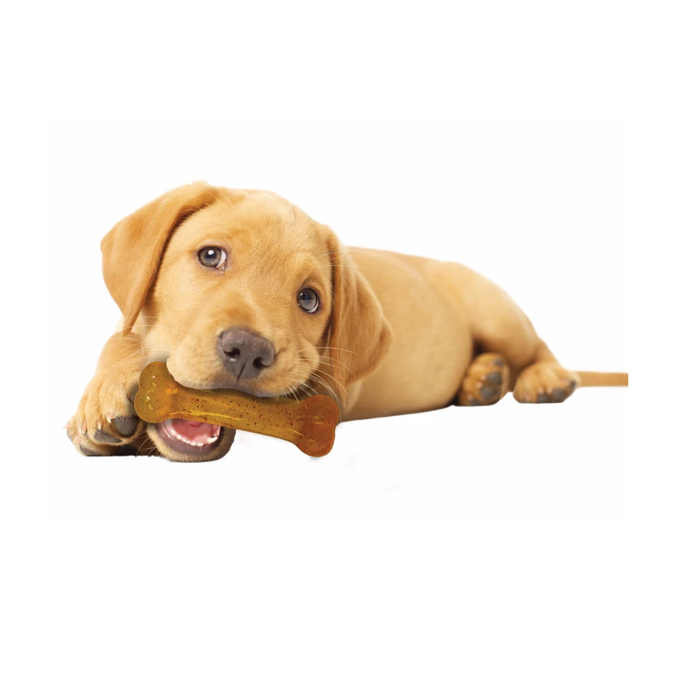 Nylabone Just for Puppies Teething Chew Toy, Chicken, Small/Regular, 1 Count - Dog Toys 6 Nylabone Just for Puppies Teething Chew Toy, Chicken, Small/Regular, 1 Count - Dog Toys - Image 4