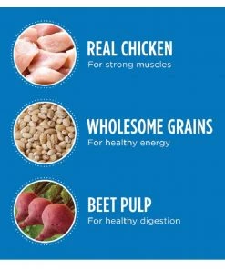 Iams ProActive Health Adult Healthy Weight Large Breed Dry Dog Food with Chicken, 29.1 lb. Bag -Pets & Wildlife Sales Store 17e43c629b303928003d9667729a54f3442ab9a3 10951576 7