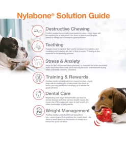 Nylabone Power Chew Flavored Durable Chew Toy for Dogs, Bacon, Large/Giant, 1 Count Bone - NB104P - Dog Toys 16 Nylabone Power Chew Flavored Durable Chew Toy for Dogs, Bacon, Large/Giant, 1 Count Bone - NB104P - Dog Toys -Pets & Wildlife Sales Store 185641391decd2be63ec94cd8bc6fc94cf5a7b4a 67610252 4