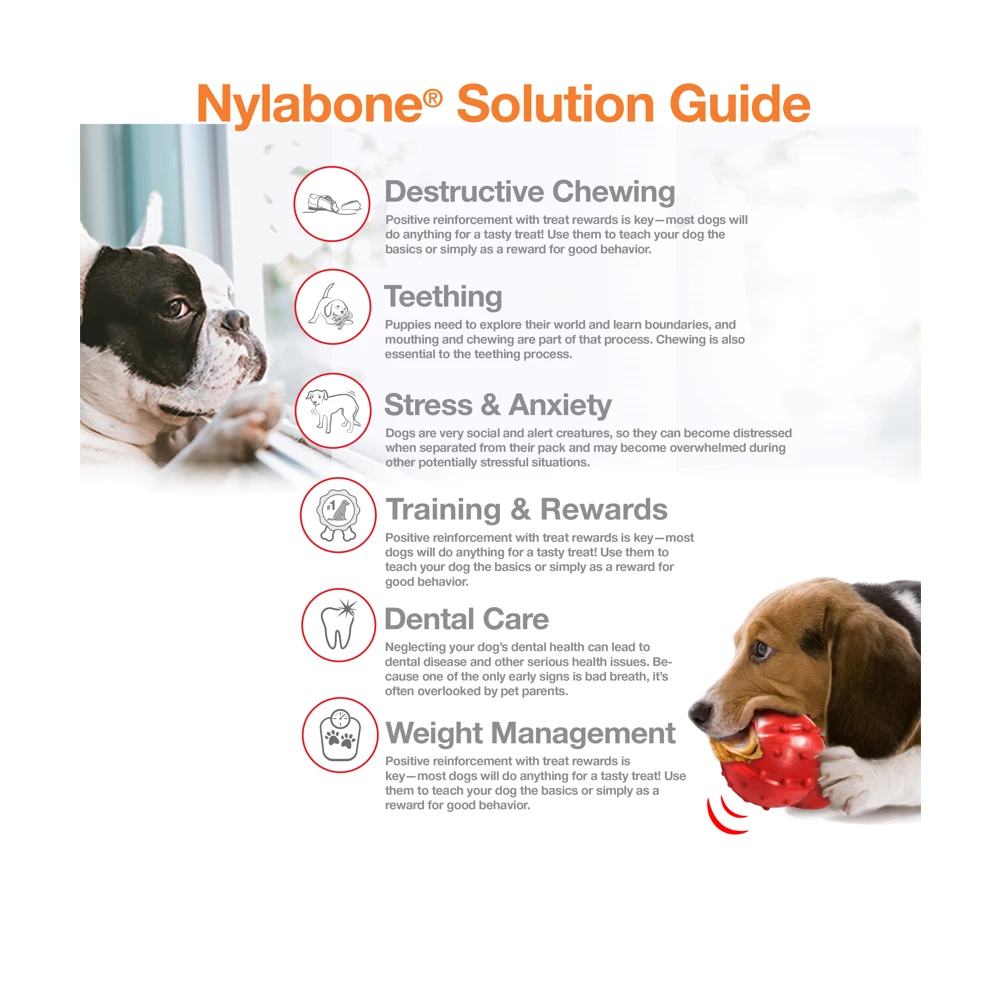 Nylabone Power Chew Flavored Durable Chew Toy for Dogs, Bacon, Large/Giant, 1 Count Bone - NB104P - Dog Toys 6 Nylabone Power Chew Flavored Durable Chew Toy for Dogs, Bacon, Large/Giant, 1 Count Bone - NB104P - Dog Toys - Image 4