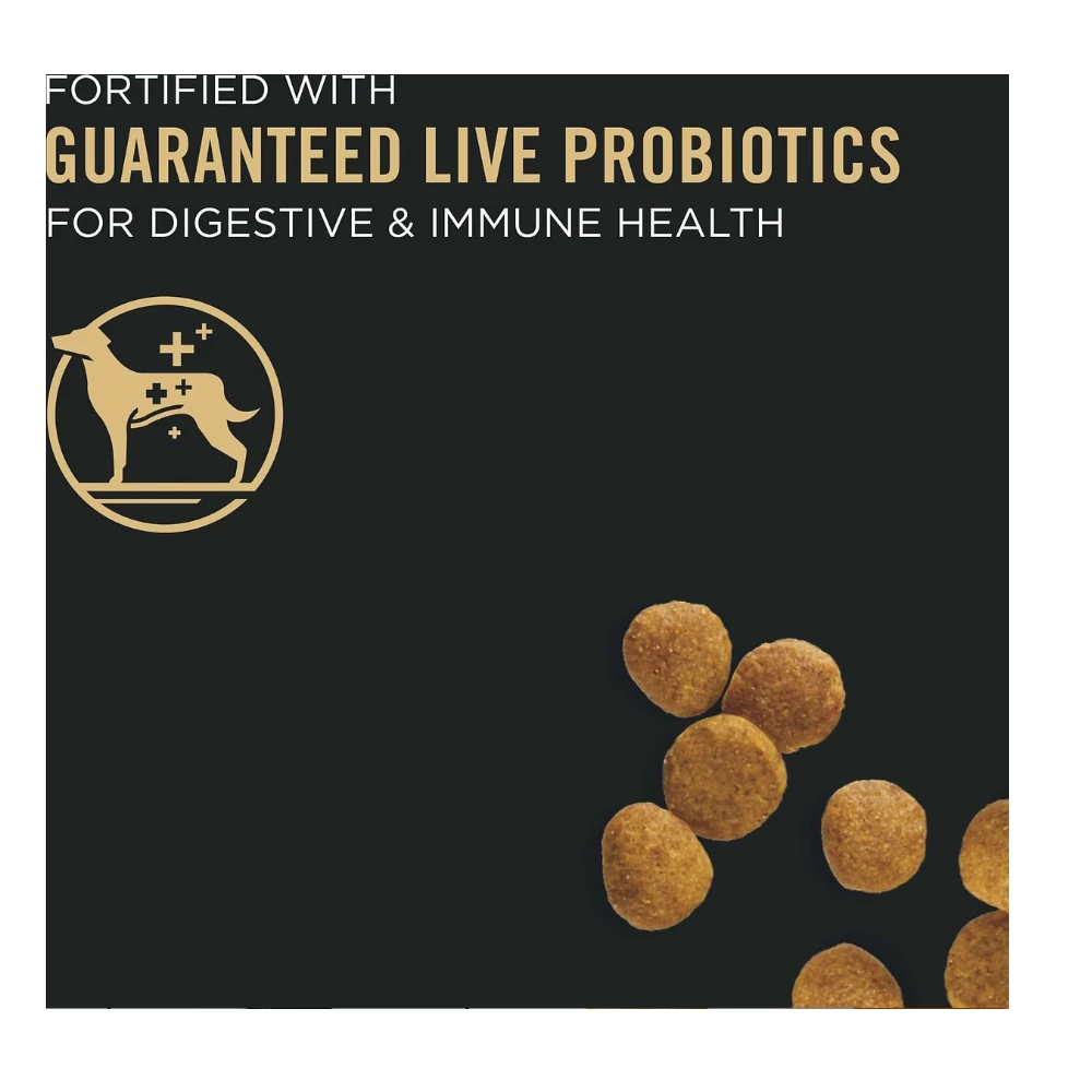 Purina Pro Plan FOCUS Chicken & Rice Formula Dry Puppy Food, 34 lb. Bag - Dog Food 4 Purina Pro Plan FOCUS Chicken & Rice Formula Dry Puppy Food, 34 lb. Bag - Dog Food - Image 2