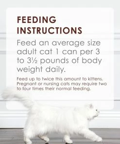 Purina Fancy Feast Classic Pate Tender Beef Feast Wet Cat Food, 3 oz. can -Pets & Wildlife Sales Store 1999bab63dd5563f2b5d9ea536c36af0d6b90ddd 00050000429547 09