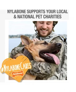 Nylabone DuraChew Textured Dog Chew Ring, Flavored Medley, X-Large/Souper, 1 Count - NCF315P - Dogs -Pets & Wildlife Sales Store 19f4396fce1eb013eeb97d23d1ef8721e660f77d 67610169 5