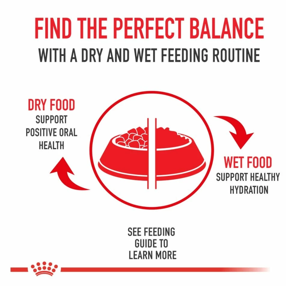 Royal Canin Digestive Care Dry Cat Food 6 lb. Bag 3 Royal Canin Digestive Care Dry Cat Food 6 lb. Bag