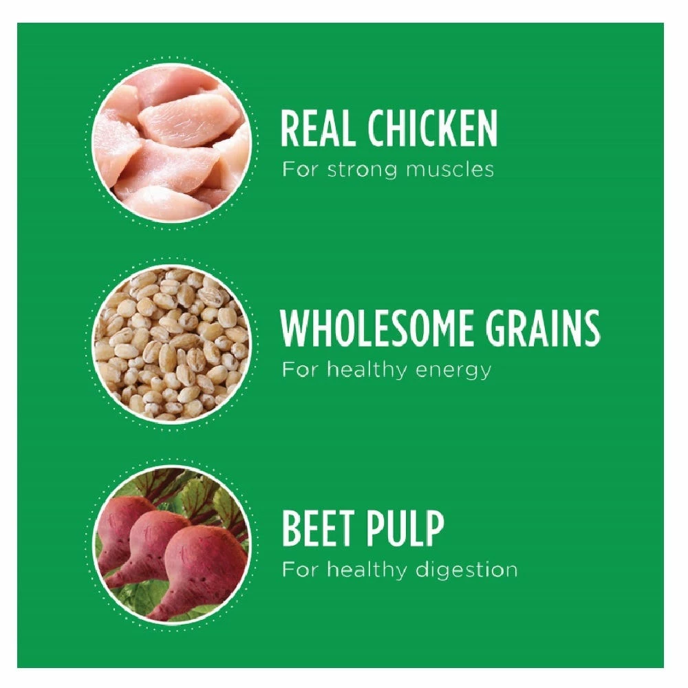 Iams Proactive Health Adult Mini-Chunks Chicken & Whole Grains Recipe Dry Dog Food, 15 lb. Bag 10 Iams Proactive Health Adult Mini-Chunks Chicken & Whole Grains Recipe Dry Dog Food, 15 lb. Bag - Image 8