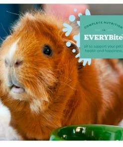 Oxbow Simple Harvest Adult Guinea Pig, 8 lb. Bag - Small Animal Feed & Treats -Pets & Wildlife Sales Store 1dc046ec06af7305a493048b023cf69b2db7efb3 667980006 4