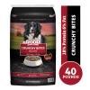 Good Friends Crunchy Bites Recipe Adult Dry Dog Food, 40 lb. Bag -Pets & Wildlife Sales Store 205f16646b3322dd36d0df5c1e7eb5c60fc37b3f 1150001