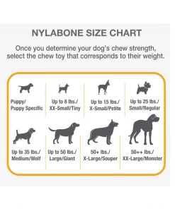 Nylabone Just for Puppies Teething Chew Keys, X-Small/Petite, 1 Count - N219P - Dog Toys 13 Nylabone Just for Puppies Teething Chew Keys, X-Small/Petite, 1 Count - N219P - Dog Toys -Pets & Wildlife Sales Store 20b055a71faa42a38f637c95368d3ec240b1ce65 67610142 3