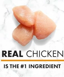 Nutro Natural Choice Chicken & Brown Rice Recipe Natural Dry Puppy Food, 5 lb. Bag - Dry Dog Food -Pets & Wildlife Sales Store 21d6ba3fe7e4286a27f6afba09cf5fe2f5de99fa 75490441 2