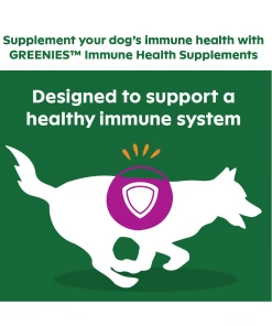 Greenies Immune Health Supplement Chicken Flavored Soft Dog Chew, 40 Count - Dog Treats -Pets & Wildlife Sales Store 23f12c1a41c27a6a547dc4a9a956de8e1e0edfc7 2022010234 3