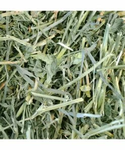 Oxbow Timothy Meadow Hay, 84 oz. - Small Animal Feed & Treats -Pets & Wildlife Sales Store 24fab00fd6ae1c0810f9fde215f08ca0cdb78c58 667980002 3