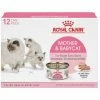 Royal Canin Mother & Babycat Ultra-Soft Mousse in Sauce Wet Cat Food, 3oz. Cans - 12 Count -Pets & Wildlife Sales Store 26cae61d9b09466084c8d10317d1f657bcaece53 55682075