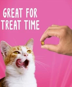 Purina Friskies Party Mix Chicken and Waffle Flavored Cat Treats, 2.1 oz. Pouch -Pets & Wildlife Sales Store 28583d5ead5423712ccef5e2942d182c5244a334 35203015 10