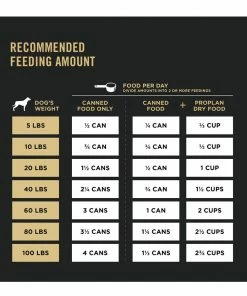 NESTLE PURINA PETCARE CO Purina Pro Plan Sport High Protein Beef & Bison Entrée Wet Dog Food, 13 oz. Can -Pets & Wildlife Sales Store 29220a44089122f394f71235791a2d64186d093b 35200614 9