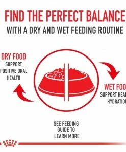 Royal Canin Hairball Care Dry Cat Food, 6 lb. Bag 7 Royal Canin Hairball Care Dry Cat Food, 6 lb. Bag -Pets & Wildlife Sales Store 2acfcb4d46fa80a3396c3a19e35cfa2b1e133e6d 55682060 3