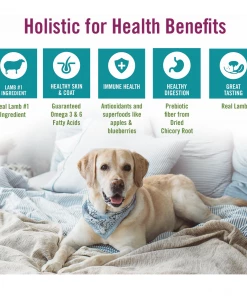 Chicken Soup for the Soul Grain Free - Lamb & Pea Recipe Dry Dog Food, 4 lb. Bag -Pets & Wildlife Sales Store 2bf73a103d630e4900d927b38b8bc051fefb87bf 2022003804 4