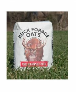 Buck Forage Oats Seeds 50 Lbs. - BFOAT50 - Deer Feed
